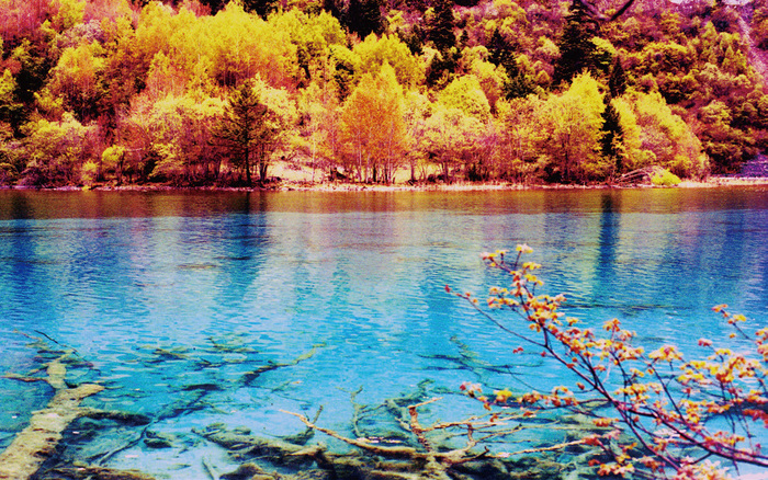 不同光線(xiàn)在攝影中(zhōng)的表現