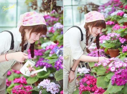 主題感照片的拍攝